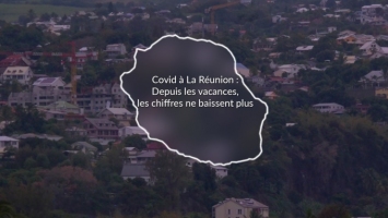 Covid à La Réunion L'épidémie se maintient depuis le début d ... Image 1